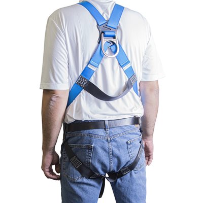 Full Body Basic Safety Harness