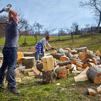 ProYard Wood Splitting Axe Fibreglass Handle