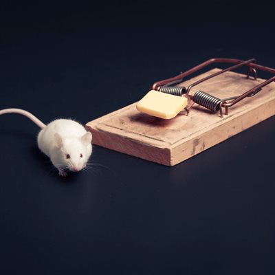 ProYard Quick Action Wooden Rat Trap