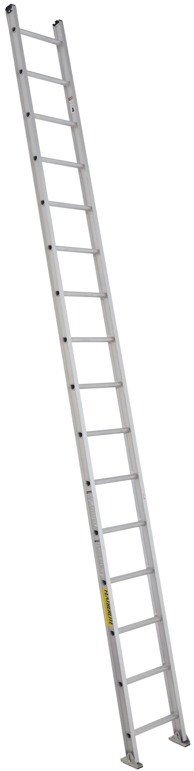 Extension/Single Ladders