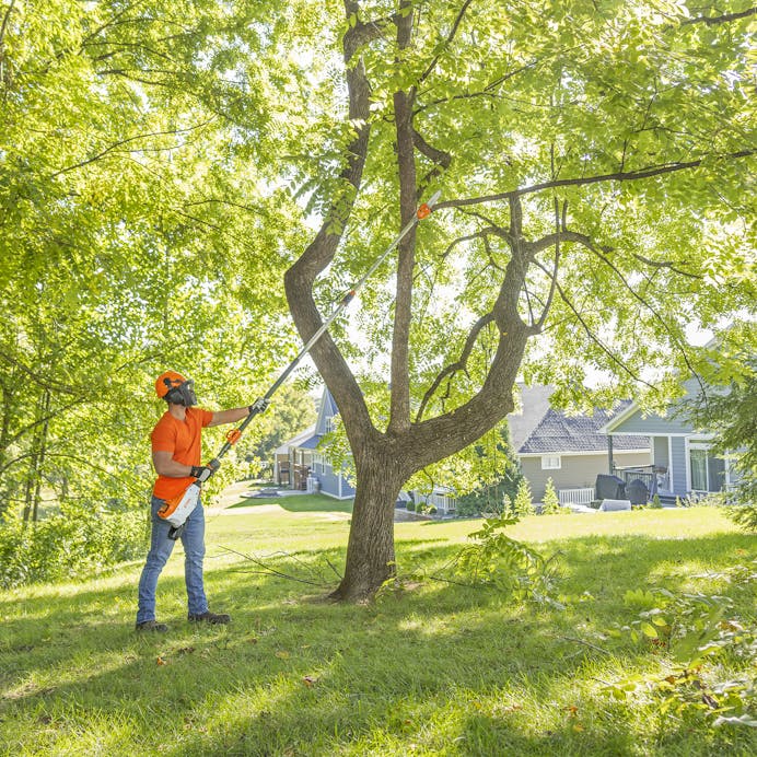 STIHL HTA 160 10" Cordless Telescopic Pole Pruner (AP System)