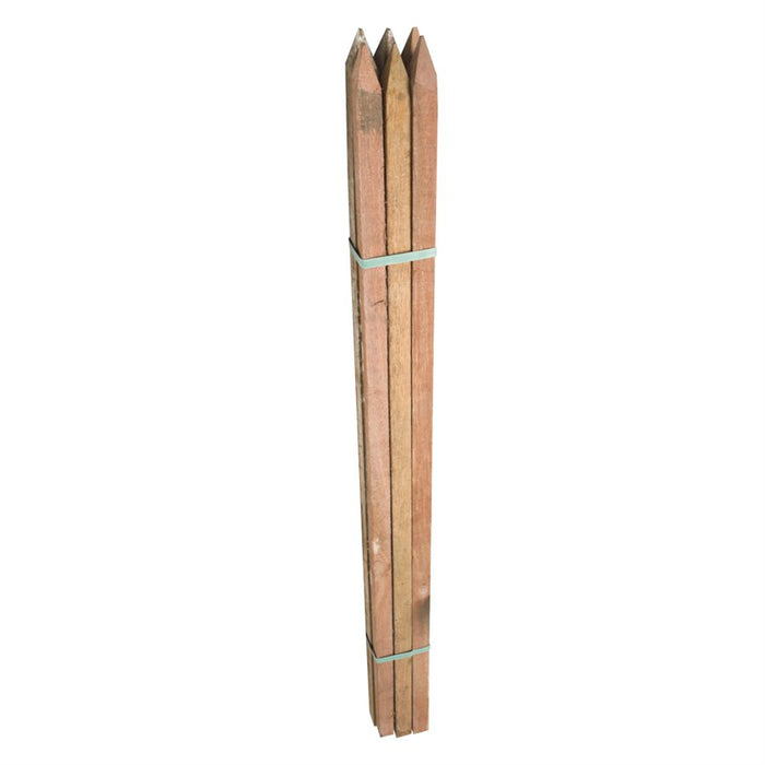 6PK Bamboo Garden Stakes - 5ft