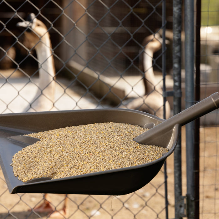 Garant Agro Series Grain Scoop