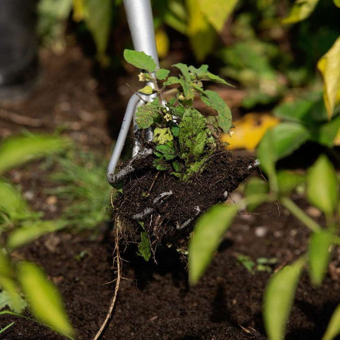 Garant 5-Tine Cultivator