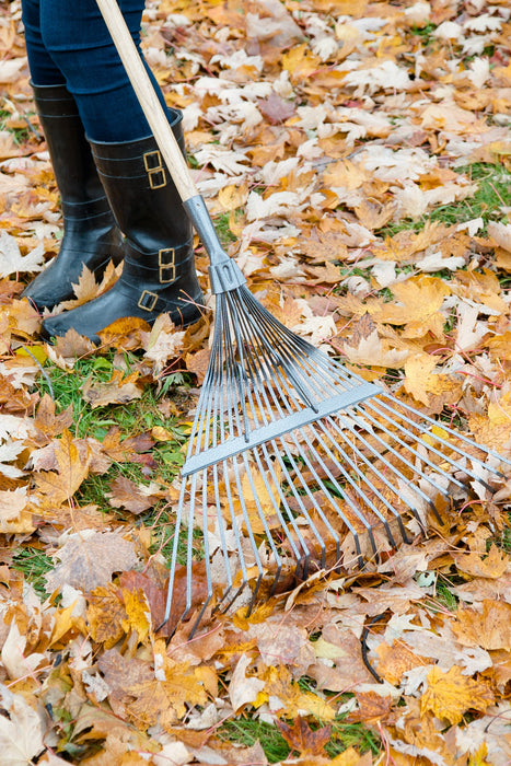 Garant 24" Springback Lawn Rake