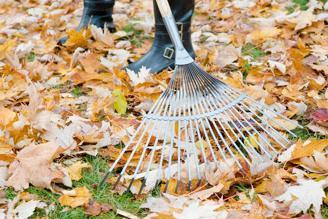 Garant 24" Springback Lawn Rake