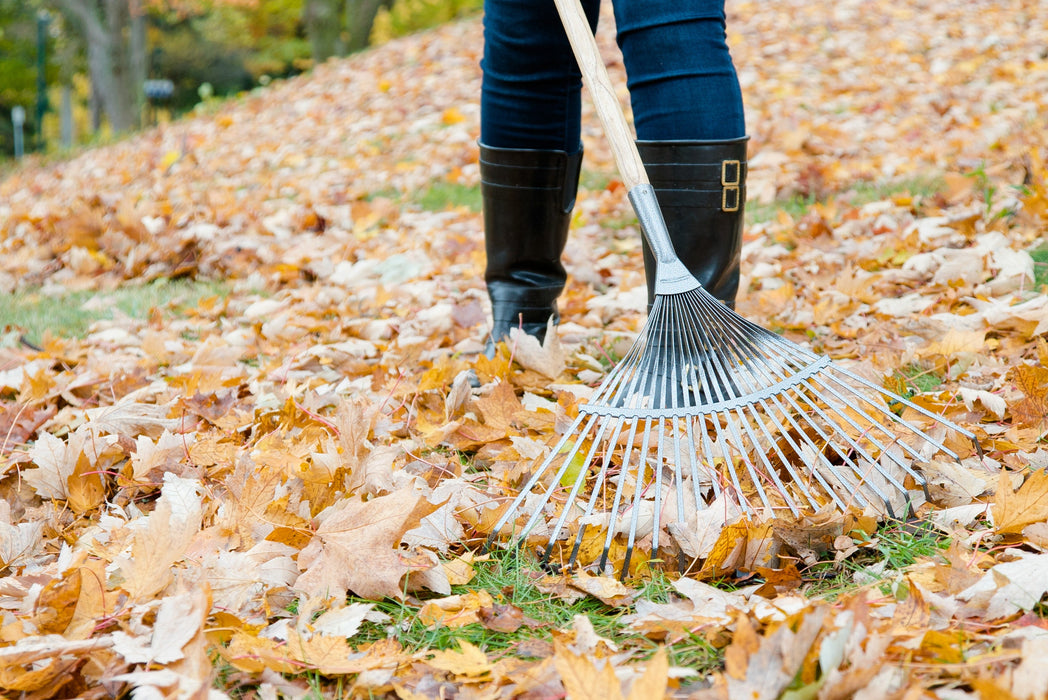 Garant 24" Springback Lawn Rake