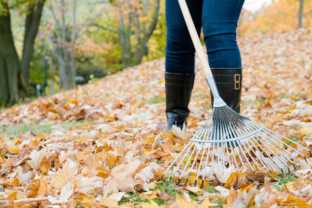 Garant 24" Springback Lawn Rake