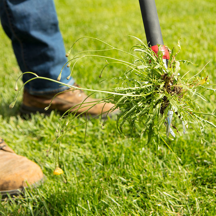 Garant Weeder