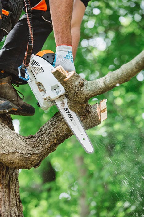 STIHL MS 151 T-CE Gas Arborist Chainsaw (23.6cc) - 12"