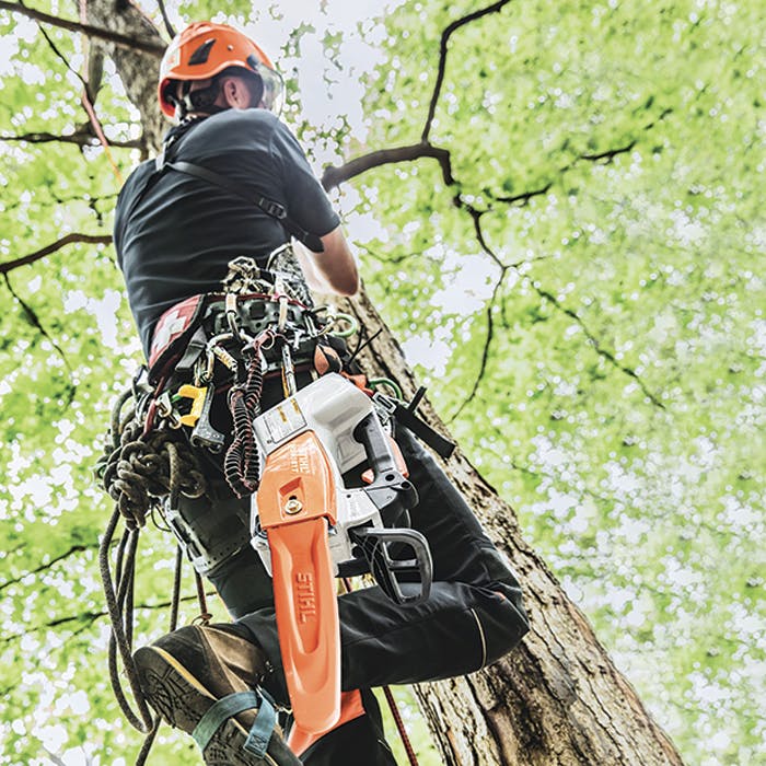 STIHL MSA 160 C-B 36V Top Handle Cordless Chainsaw Kit (AP System) - 12"