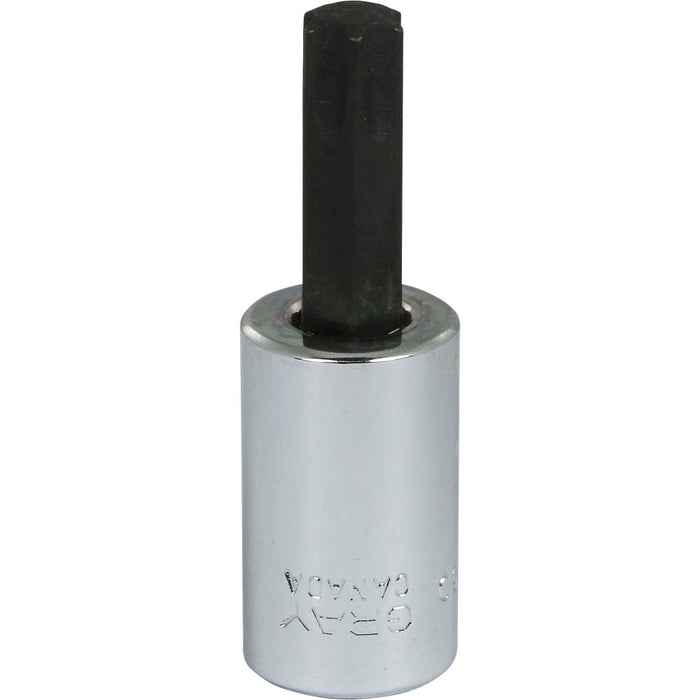 Gray Tools 3/8" Drive Standard Length Torx Head Sockets