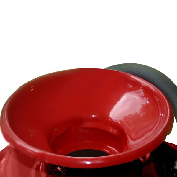 Chapin 1 Gal. Lawn & Garden Sprayer