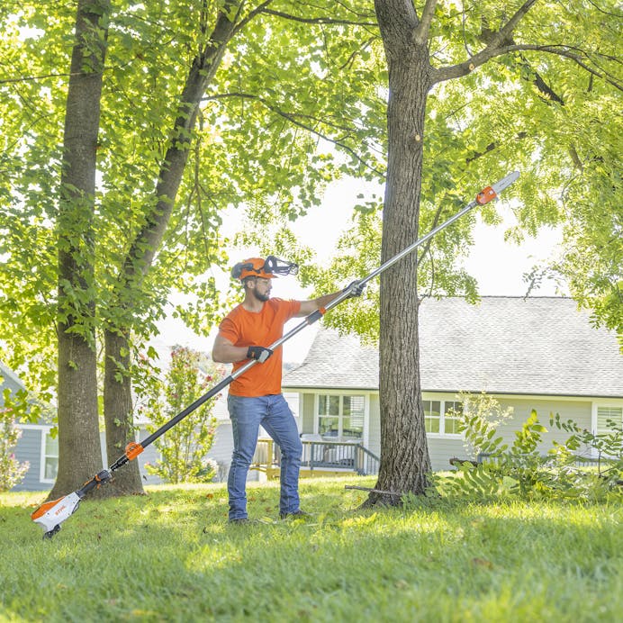 STIHL HTA 160 10" Cordless Telescopic Pole Pruner (AP System)