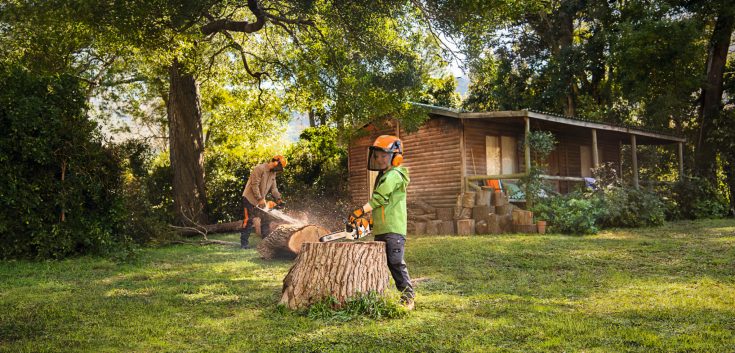 STIHL Toy Chainsaw