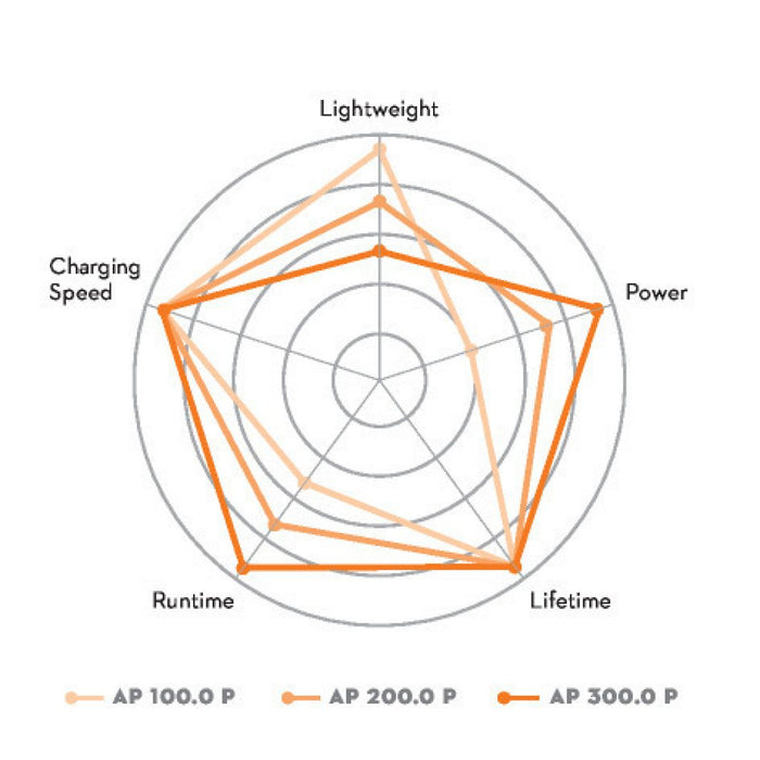 STIHL ALLPRO AP 200 P Battery