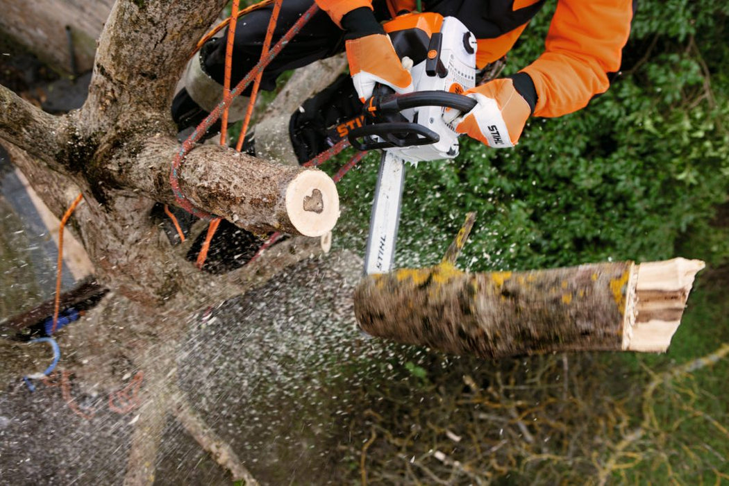 STIHL MS 201 TC-M Gas Arborist Chainsaw (35.2cc) M-Tronic - 12"