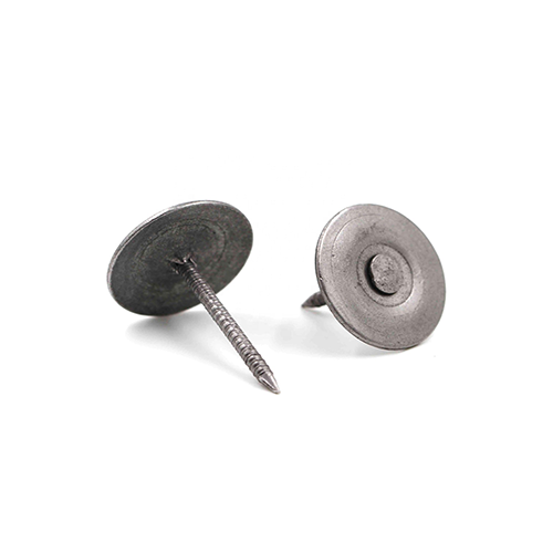 Interfast Bulk Electrogalvanized Round Top Metal Cap Nails 50LB ...