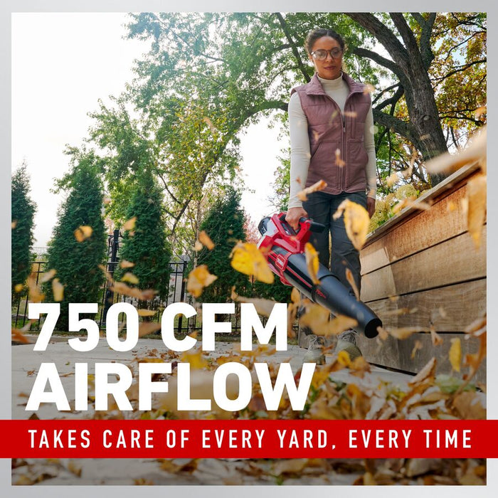 Toro 60V MAX 750 CFM Brushless Leaf Blower Kit