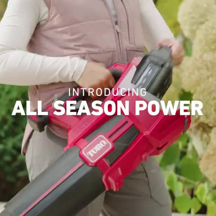 Toro 60V MAX 750 CFM Brushless Leaf Blower Kit
